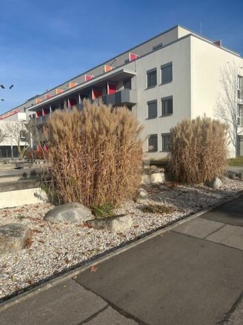 „STUDENTISCHES WOHNEN IN MODERNEM WOHNHEIM 1-ZIMMER-APPARTEMENT MIT BALKON IN 80939 MÜNCHEN-FREIMANN, 80939 München, Apartment